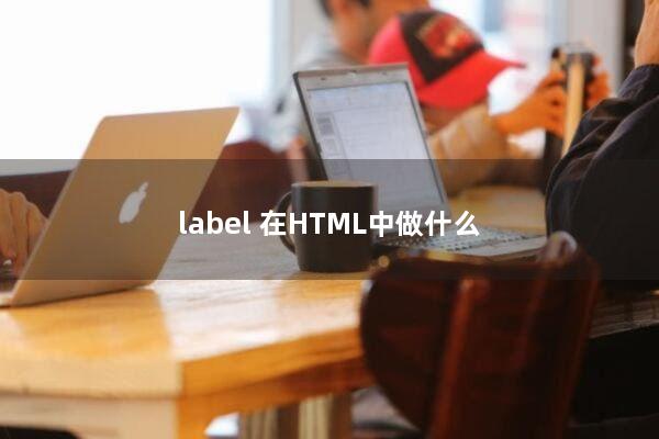 <label>在HTML中做什么？